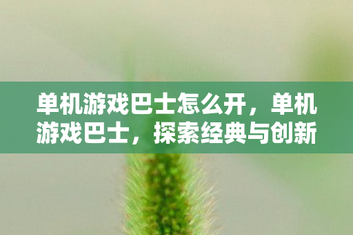 探索经典与创新的奇妙之旅图片