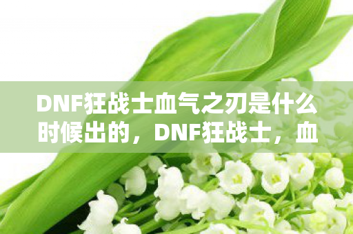 DNF狂战士血气之刃是什么时候出的图片