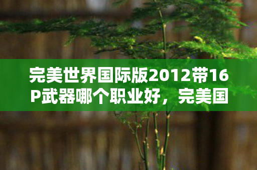 完美世界国际版2012带16P武器哪个职业好图片