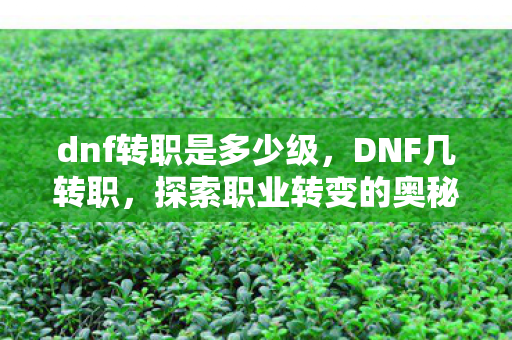 dnf转职是多少级图片