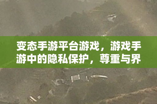 游戏手游中的隐私保护图片