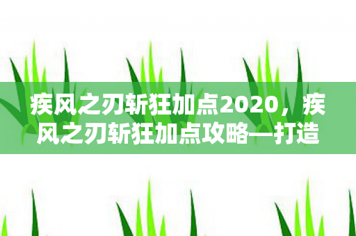 疾风之刃斩狂加点2020，疾风之刃斩狂加点攻略—打造无敌战士