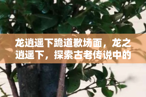 探索古老传说中的神秘世界图片