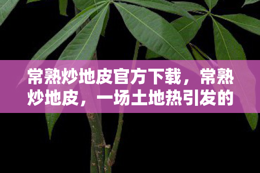 一场土地热引发的思考图片