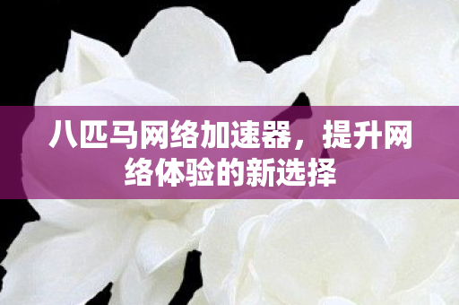 提升网络体验的新选择图片