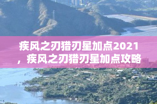 疾风之刃猎刃星加点2021，疾风之刃猎刃星加点攻略，探索最佳技能配置