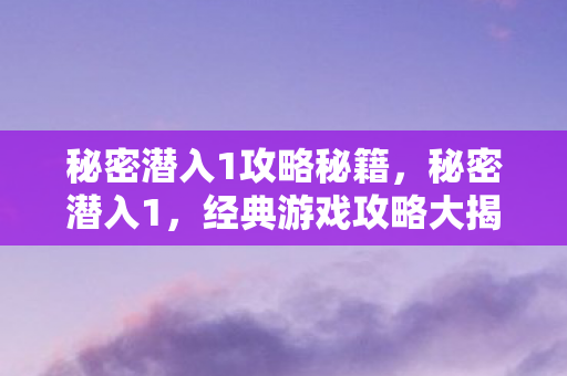 秘密潜入1攻略秘籍图片