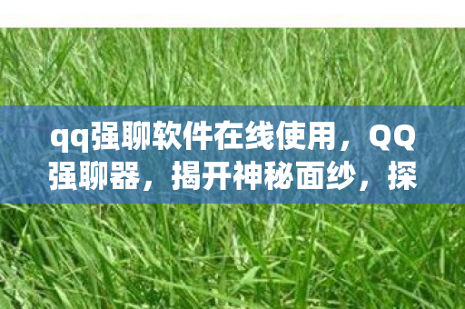 探讨其背后的风险与合规性图片