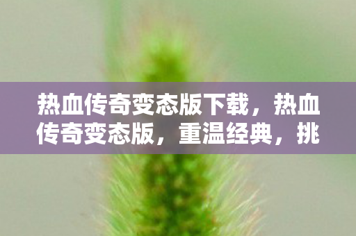 热血传奇变态版下载图片