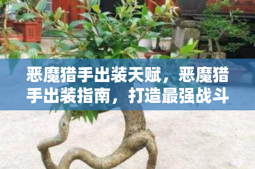 打造最强战斗力的装备搭配图片