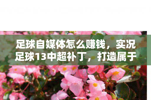 实况足球13中超补丁图片