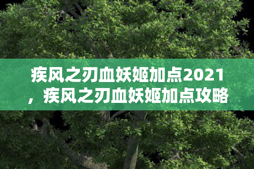 疾风之刃血妖姬加点2021，疾风之刃血妖姬加点攻略，解锁你的全潜力！