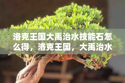 洛克王国大禹治水技能石怎么得图片