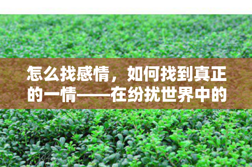 在纷扰世界中的情感寻觅图片