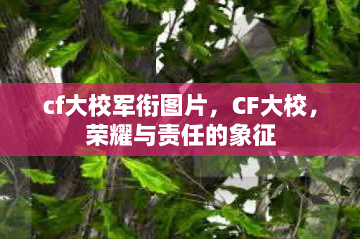 cf大校军衔图片图片