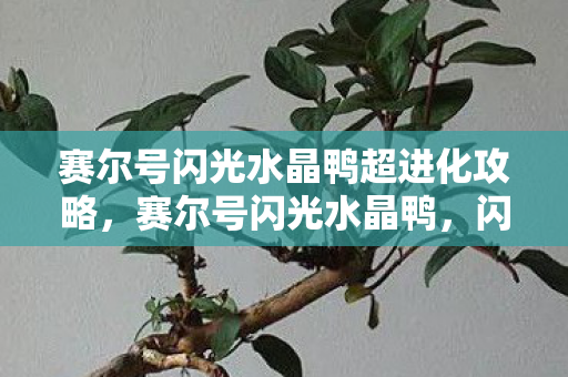 赛尔号闪光水晶鸭超进化攻略图片