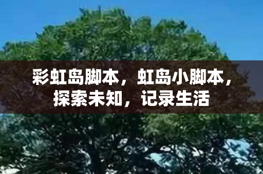 彩虹岛脚本图片