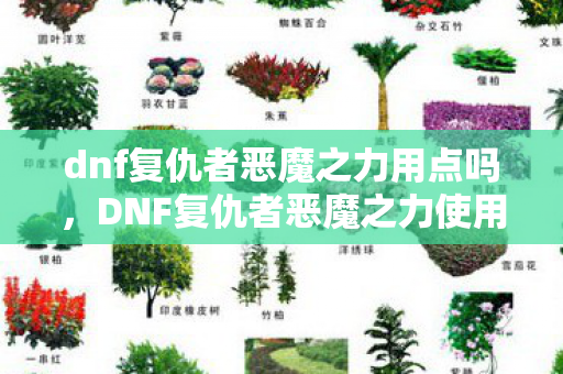 DNF复仇者恶魔之力使用指南图片