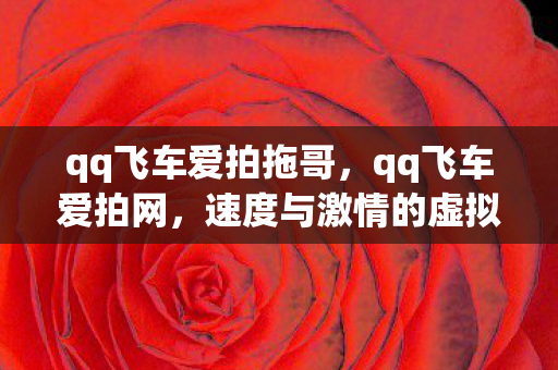 速度与激情的虚拟竞速图片