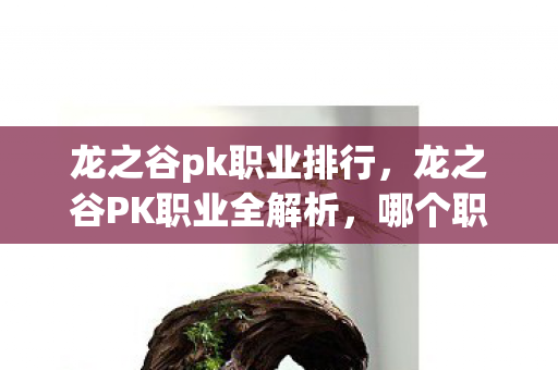 龙之谷PK职业全解析图片