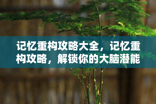 记忆重构攻略大全，记忆重构攻略，解锁你的大脑潜能