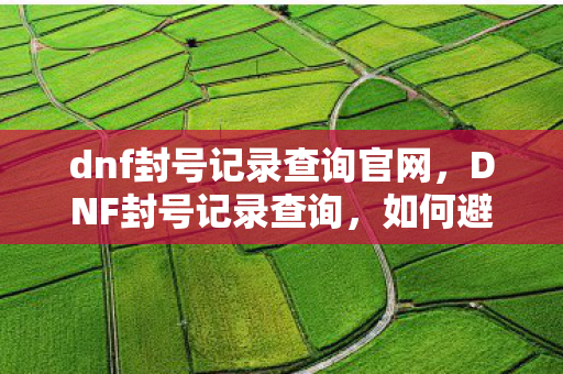 dnf封号记录查询官网图片