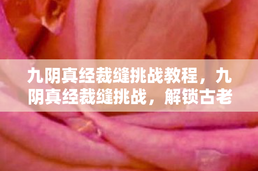 九阴真经裁缝挑战教程图片