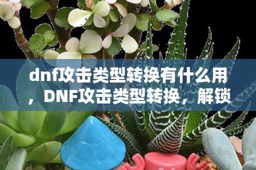dnf攻击类型转换有什么用图片