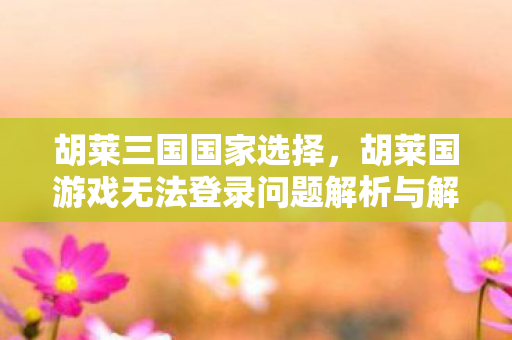 胡莱国游戏无法登录问题解析与解决建议图片
