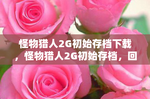 怪物猎人2G初始存档下载图片