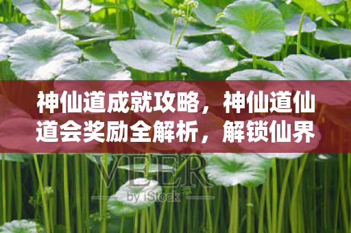 神仙道仙道会奖励全解析图片