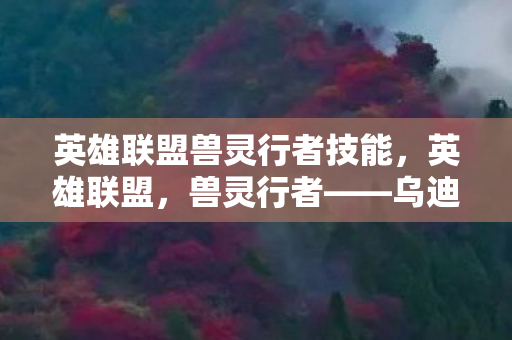 乌迪尔的全面解析与实战指南图片