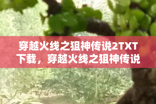 穿越火线之狙神传说2TXT下载图片