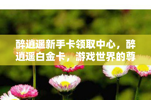 醉逍遥新手卡领取中心，醉逍遥白金卡，游戏世界的尊享特权