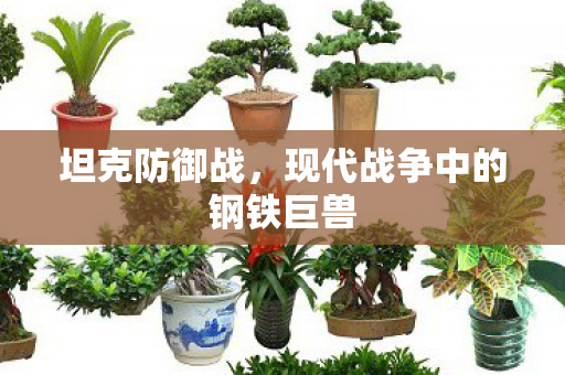 现代战争中的钢铁巨兽图片