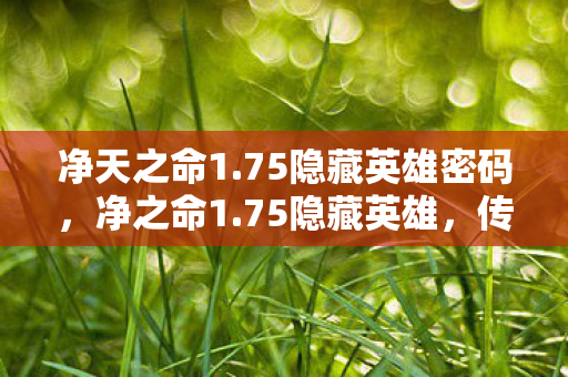 75隐藏英雄密码图片