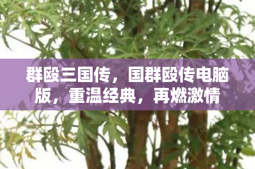 国群殴传电脑版图片