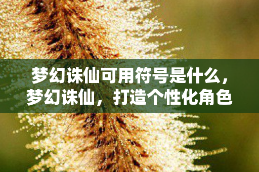 梦幻诛仙可用符号是什么图片