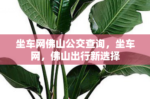 坐车网佛山公交查询图片