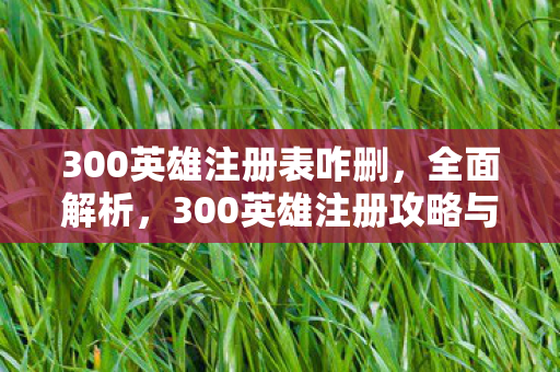 300英雄注册攻略与体验分享图片