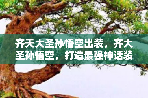 齐天大圣孙悟空出装图片