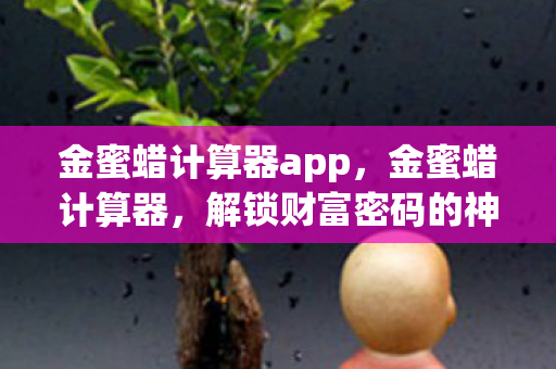 解锁财富密码的神奇工具图片