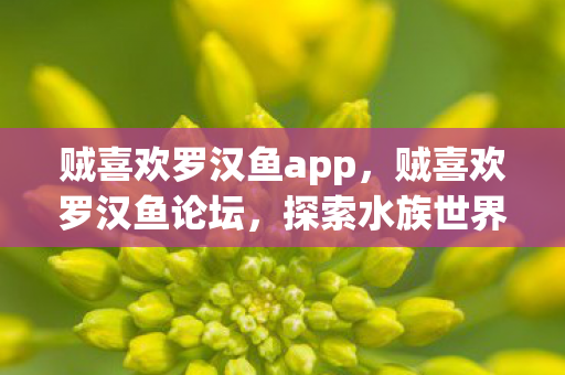 探索水族世界的奇妙之旅图片