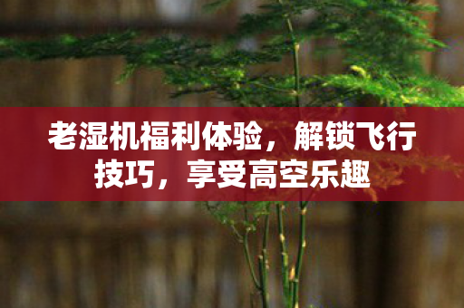 老湿机福利体验图片