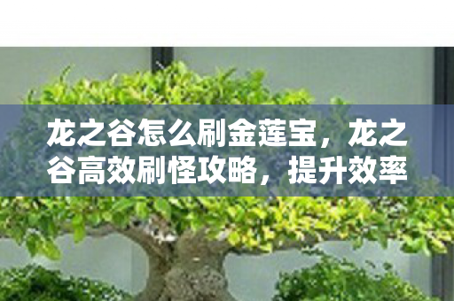 龙之谷怎么刷金莲宝图片