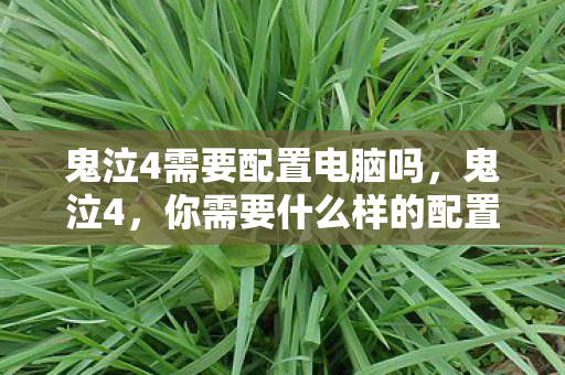 你需要什么样的配置才能流畅运行图片