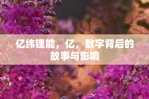 数字背后的故事与影响图片