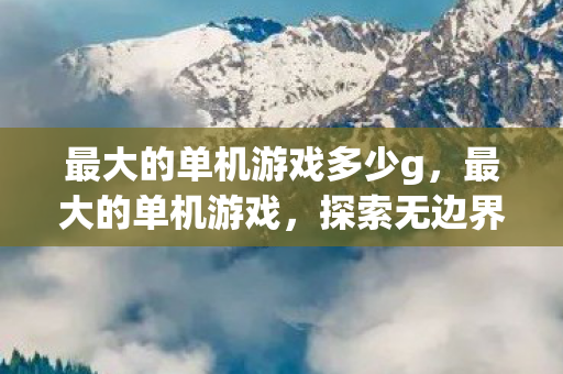 最大的单机游戏多少g图片