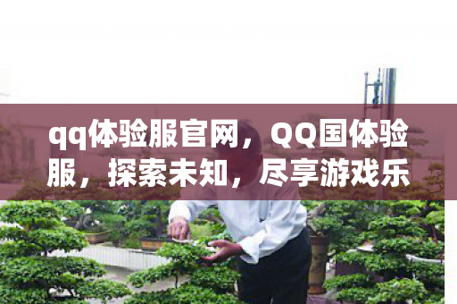 qq体验服官网图片