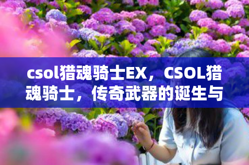 csol猎魂骑士EX图片